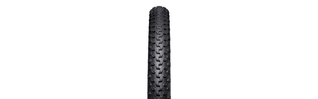 Specialized Fast Trak Control 2BR T5 29 x 2.2 Tyre